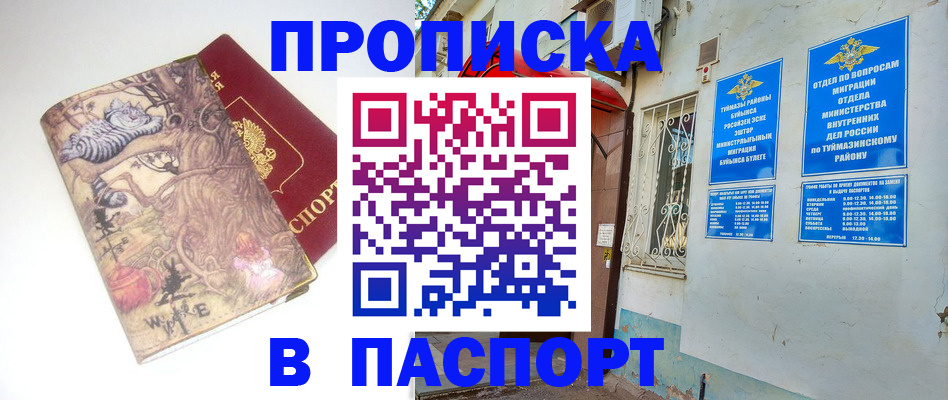пропишу в квартире в Купино